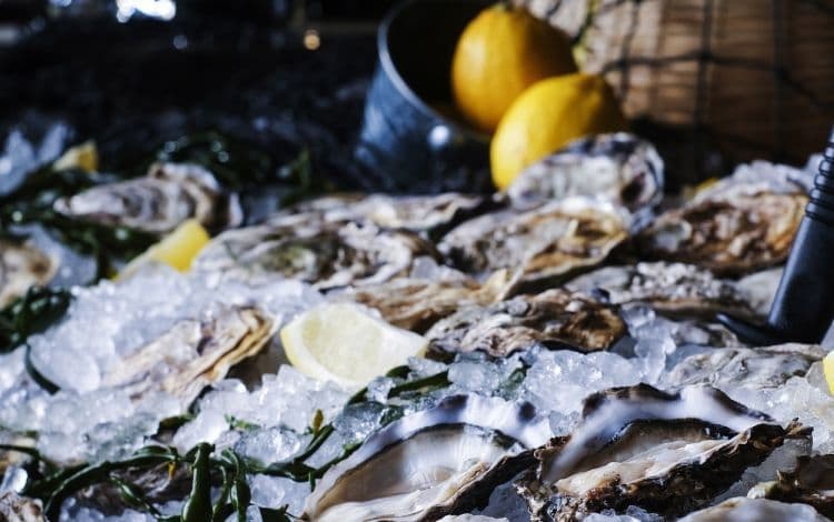 OKiBook's Finest Selection of Seafood Menus in Hong Kong