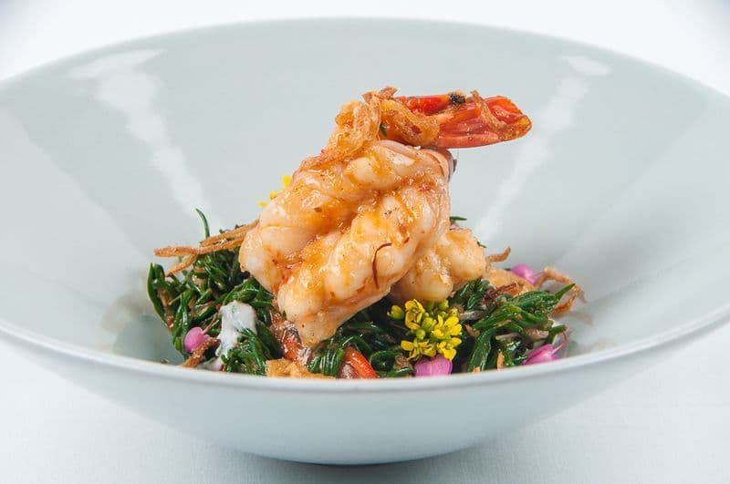 Yamm The Mira Hong Kong - OKiBook Hong Kong Restaurant Booking 自助餐預訂香 - Celadon_SANGWA TUAPU GOONG YAANG