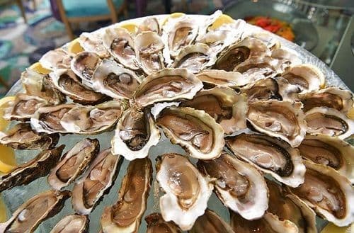 Alto 88 Regal Hongkong 富豪香港酒店 - OKiBook Hong Kong Restaurant and buffet Booking - Oyster and Bubble Brunch - French Oyster 新鮮生蠔