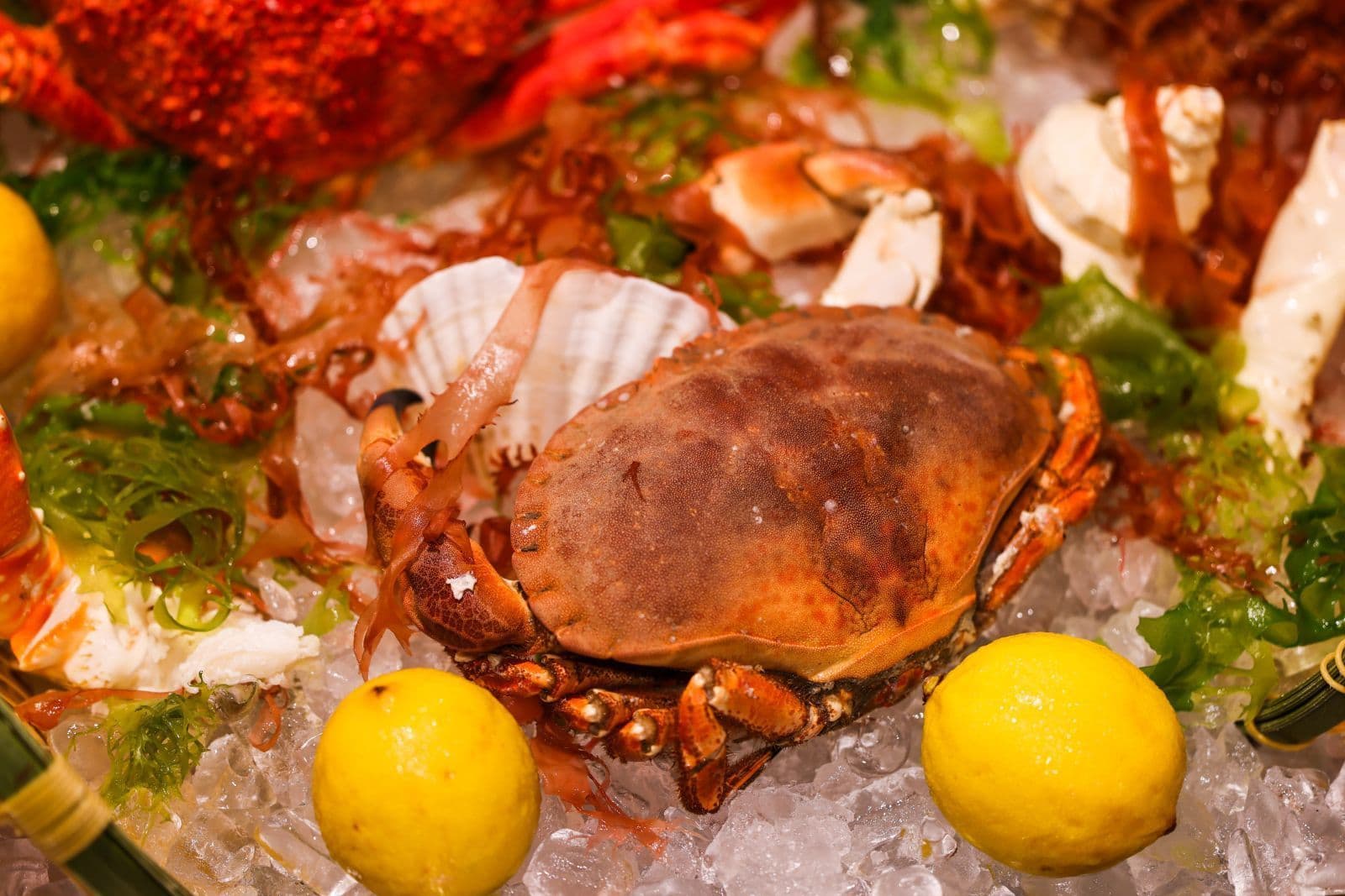 2025 Buffet Promotions with Up to 50% Discount | Starting from Only $200