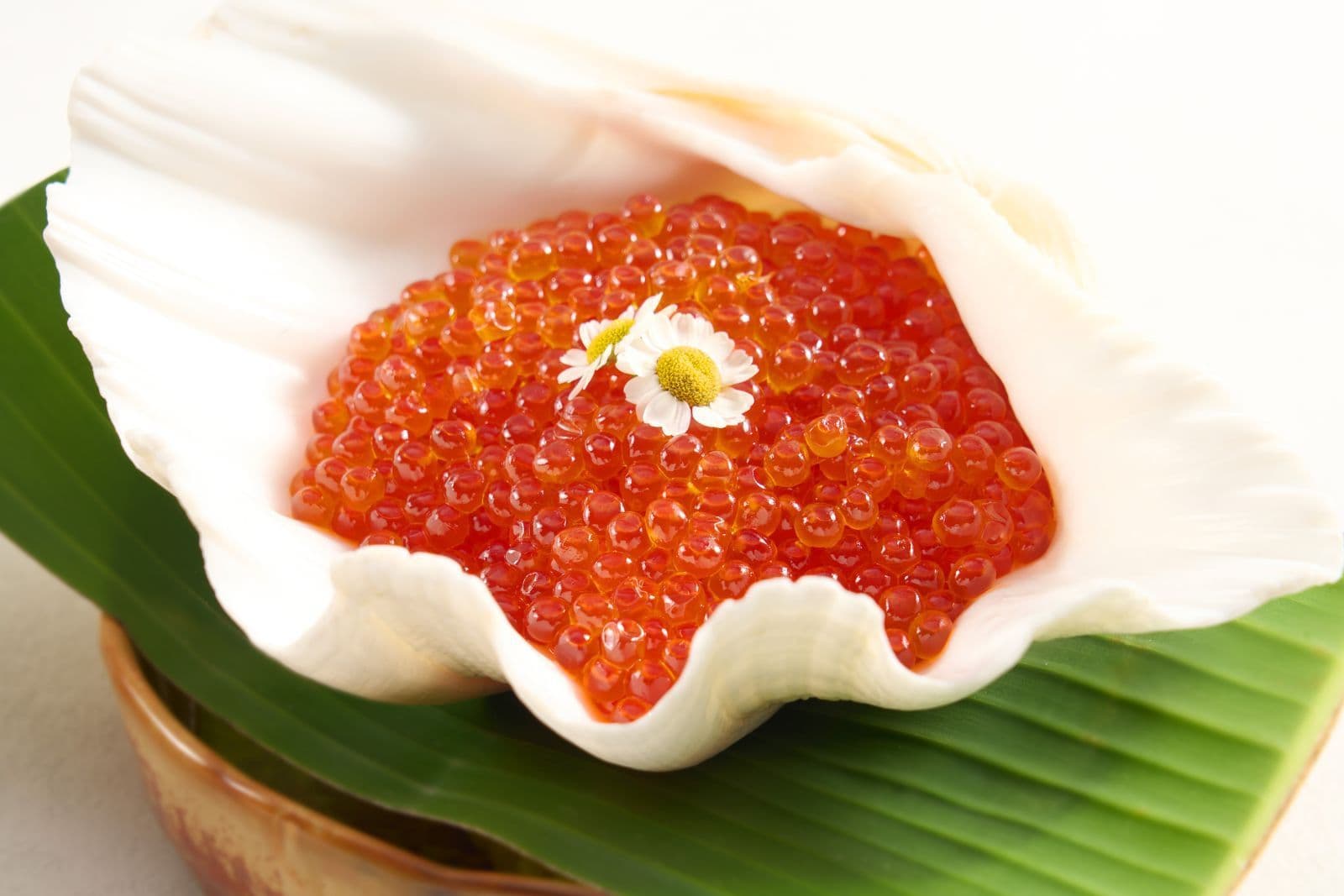 2025 Buffet Promotions with Up to 50% Discount | Starting from Only $200