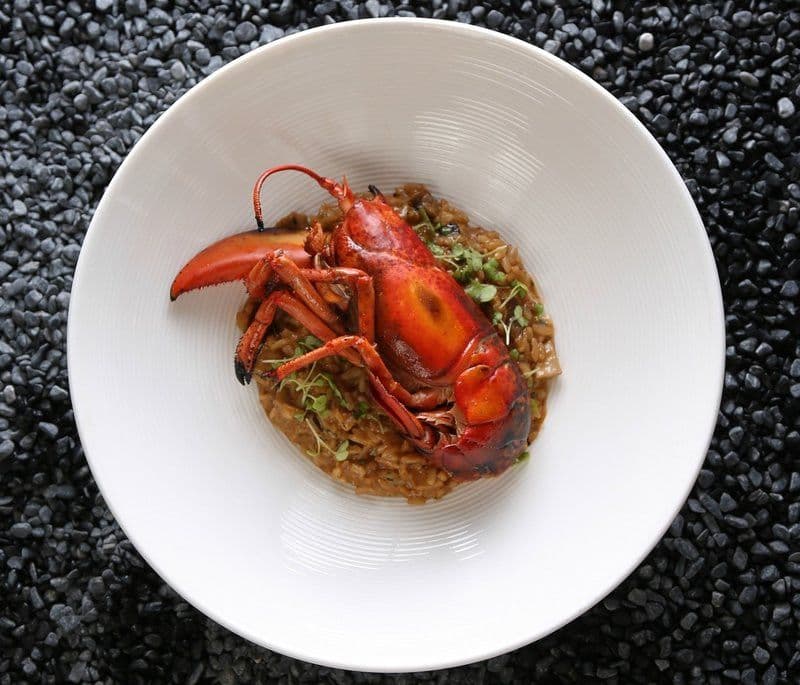 Lobster Sensations: New  Lobster & Saffron Dinner @ Azure Restaurant Slash Bar - LKF Hotel