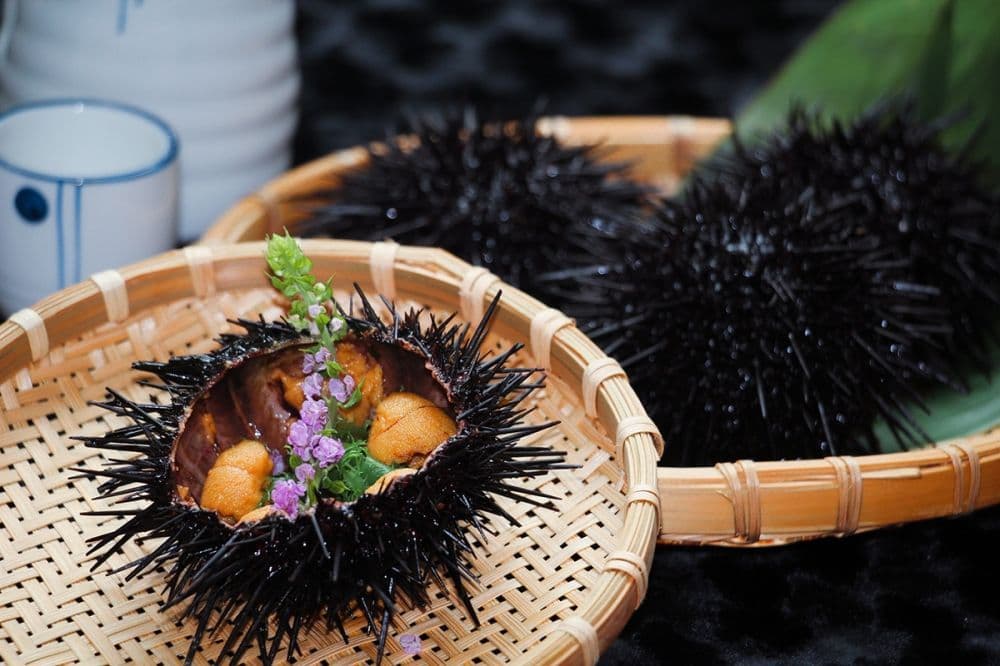 北海道新鮮活海膽推薦 / Hokkaido Fresh Sea Urchin Recommendation @ Umami - Le Méridien Cyberport OKiBook Hong Kong and Macau Restaurant Buffet booking 餐廳和自助餐預訂