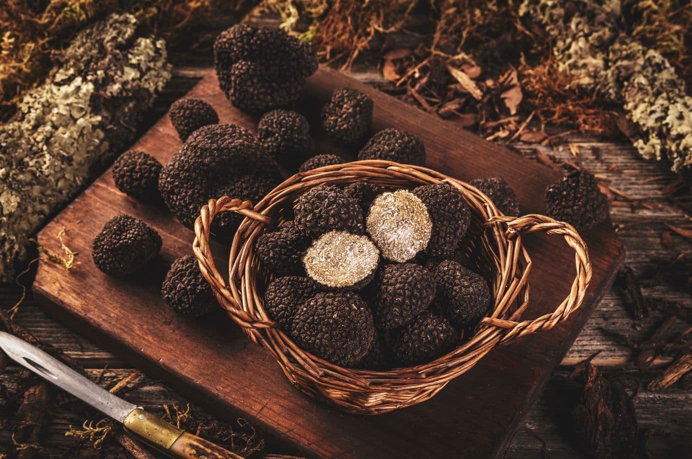 Black Truffle Tasting Menu at Theo Mistral By Theo Randall - InterContinental Grand Stanford Hong Kong