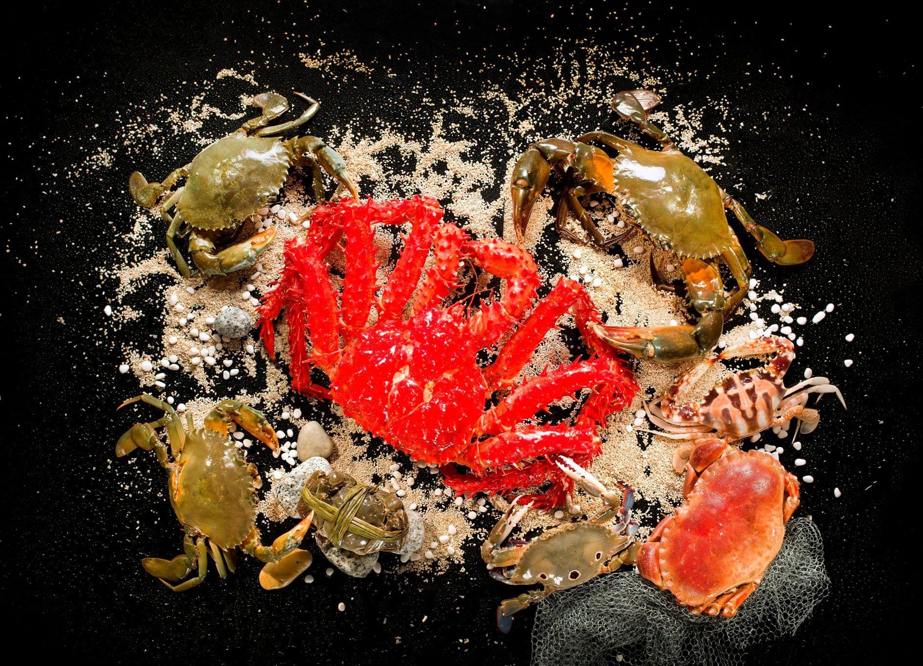 Cafe on M InterContinental Grand Stanford 海景咖啡廊 - 海景嘉福洲際酒店 Crab Buffet -OKiBook Hong Kong - Restaurants, Buffet, Booking, Reviews Deals, Discounts, Dining Promotions 香港，餐廳及預訂，自助餐, 評價，折扣，優惠, 餐飲促銷