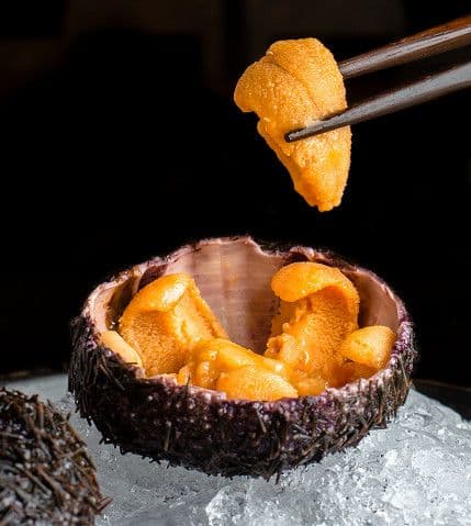 Korean Sea Urchin at Loong Yuen - Holiday Inn Golden Mile
