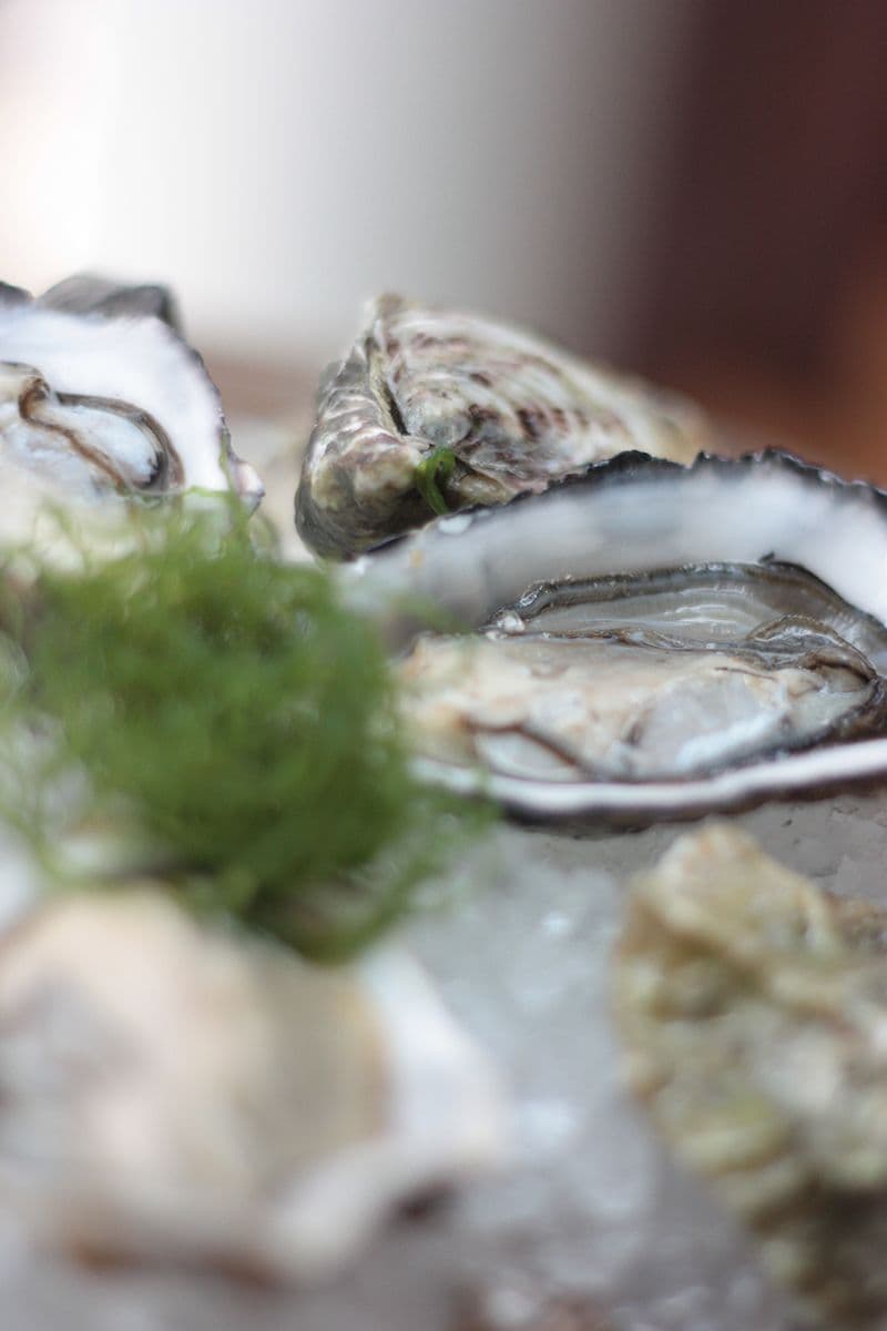 Oysters Night @Bistro on the Mile - Holiday Inn Golden Mile