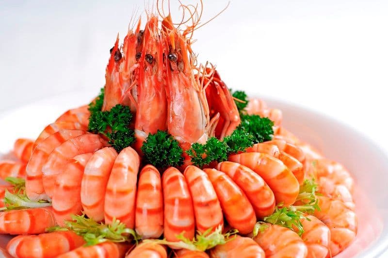 Rose Sea Shrimps z.jpg